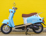 2024 Wolf Islander Blue (50cc)