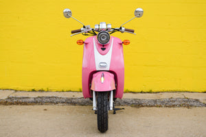 2024 Wolf Islander Pink (50cc)