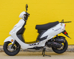 2025 Wolf RX50 White (50cc)