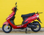 2025 Wolf RX50 Red (50cc)