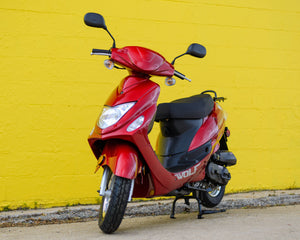 2025 Wolf RX50 Red (50cc)