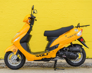 2025 Wolf RX50 Yellow (50cc)