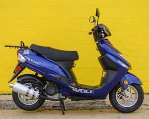 2025 Wolf RX50 Blue (50cc)