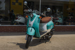 2023 Wolf Islander - Seafoam Green