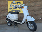 2023 Wolf Islander White (50cc)